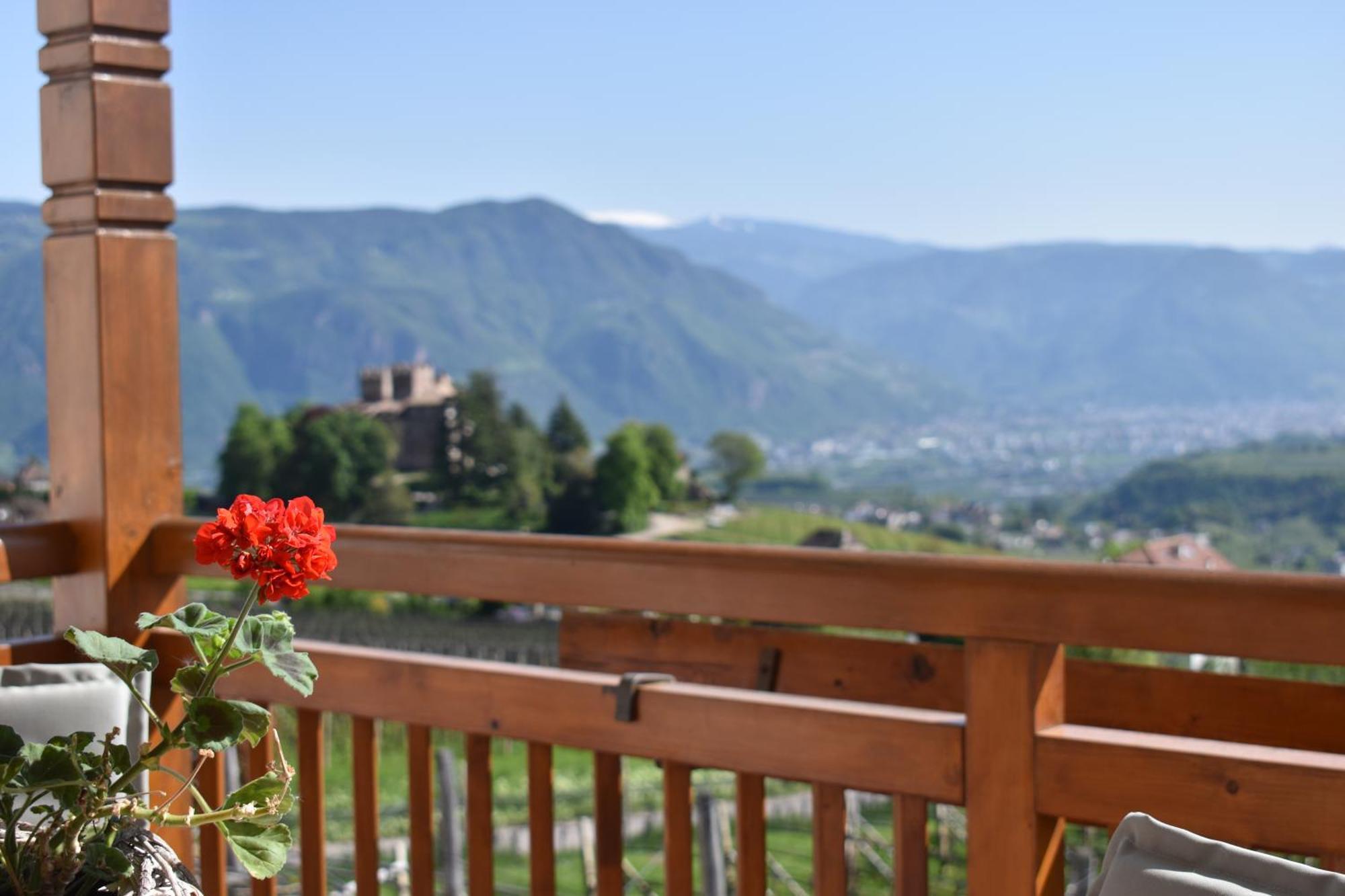 Apartment Plattenriegelhof Appiano Sulla Strada Del Vino