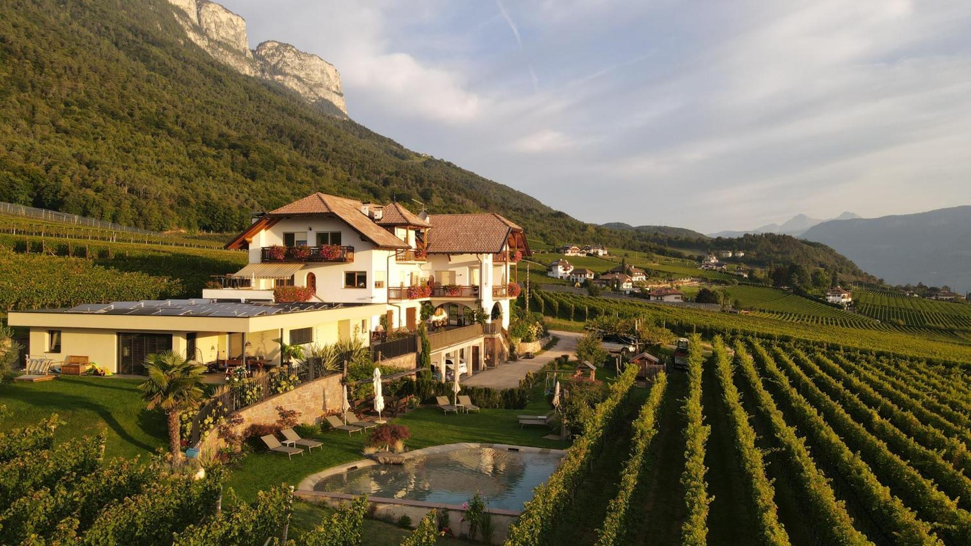 Apartment Plattenriegelhof Appiano Sulla Strada Del Vino